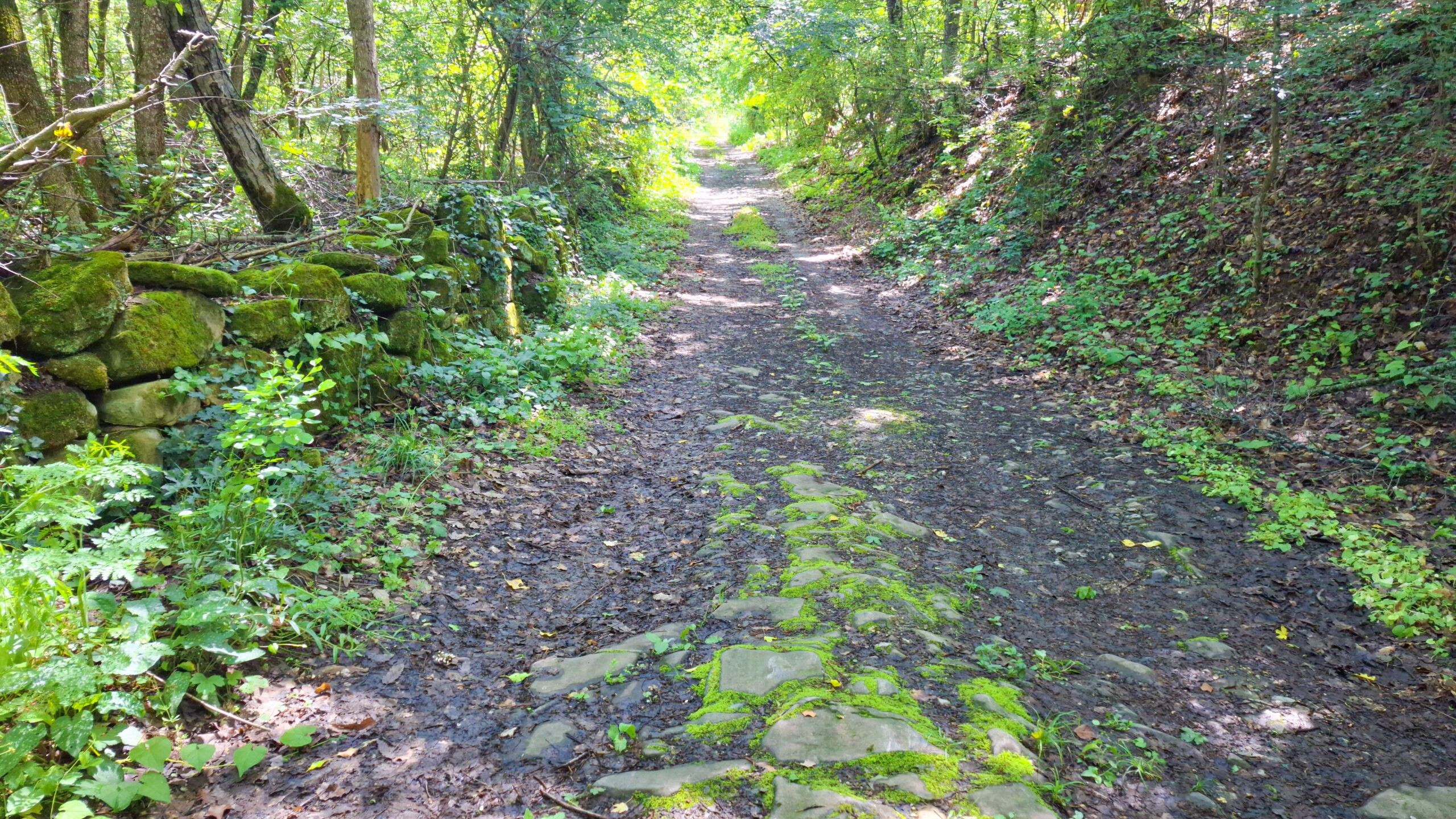 Калдъръмът към село Муця и стопански зидове край него