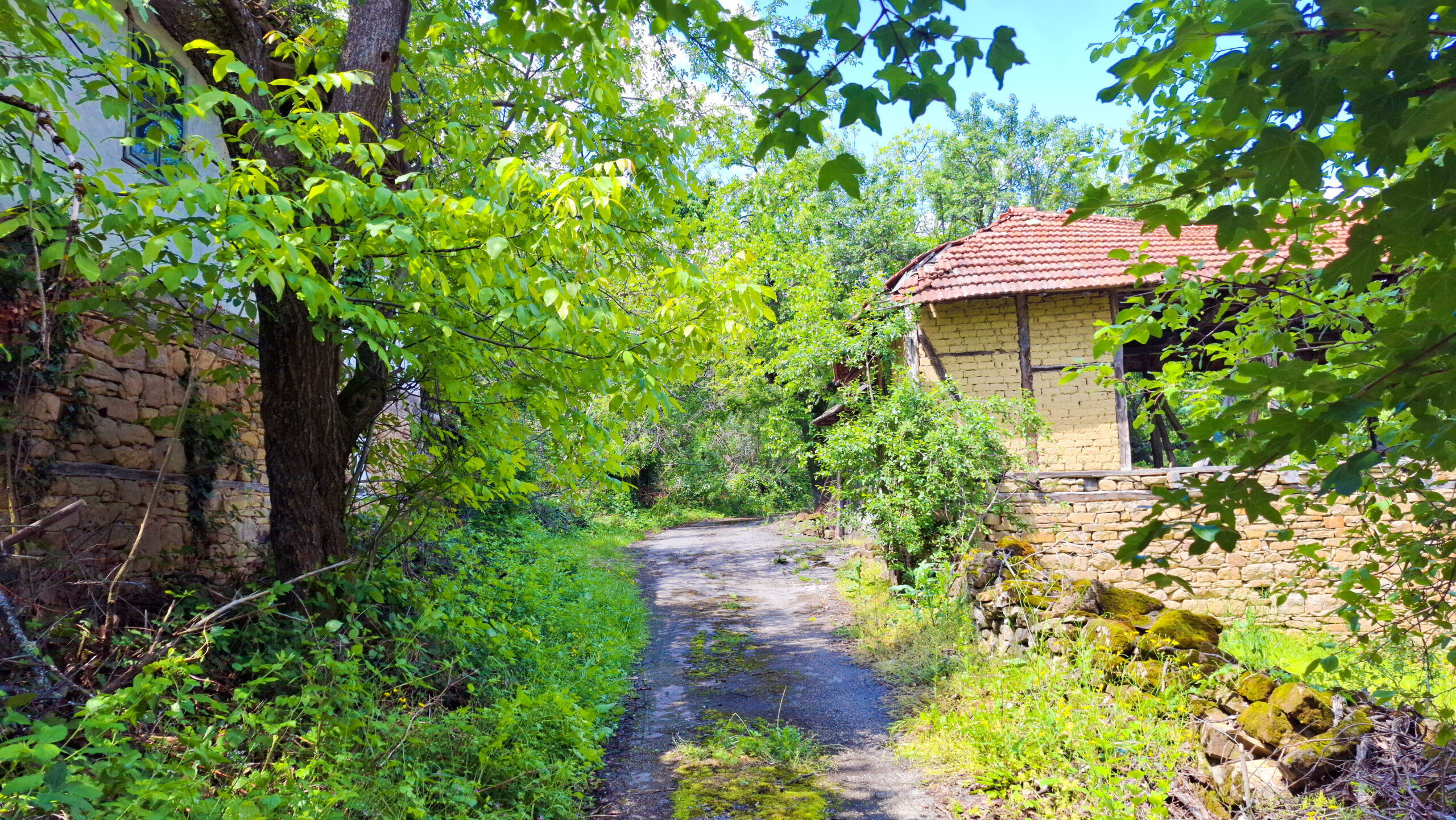 Изоставени постройки и улицата в село Муця