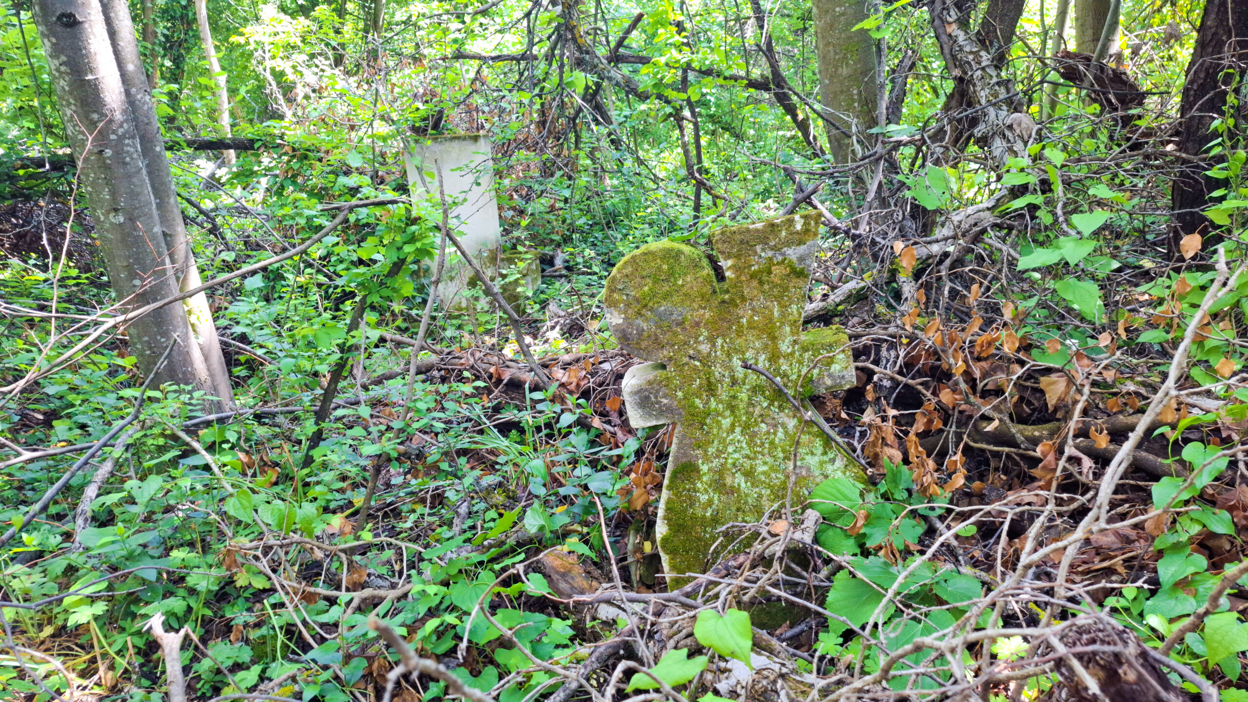 Гробището на село Муця