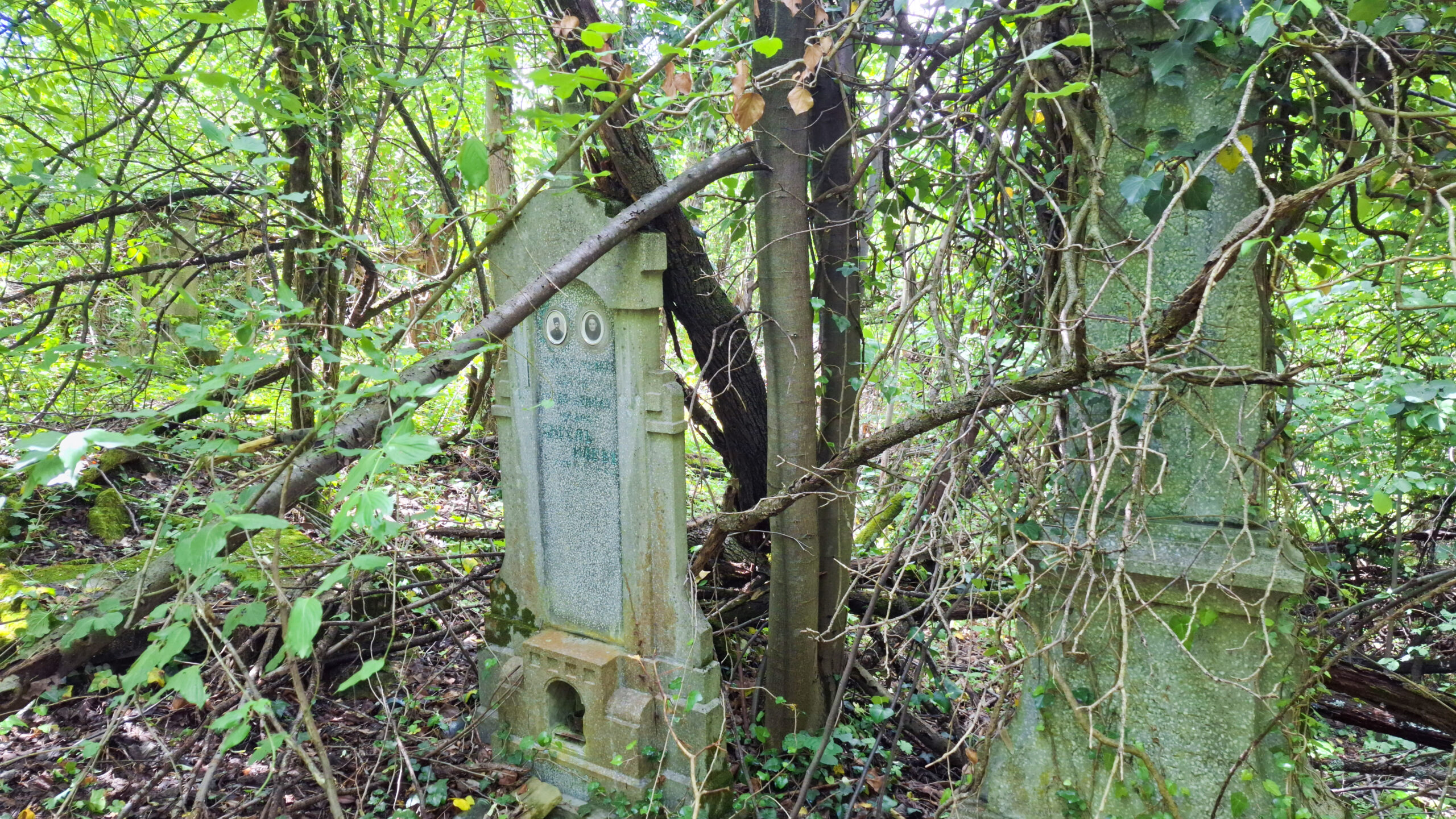Гробът на Ангел Илев в гробището на с. Муця