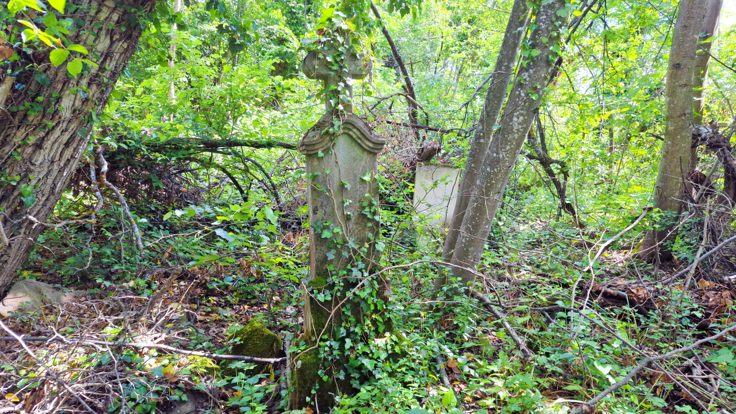 Гробището на село Муця Гробището на село Муця