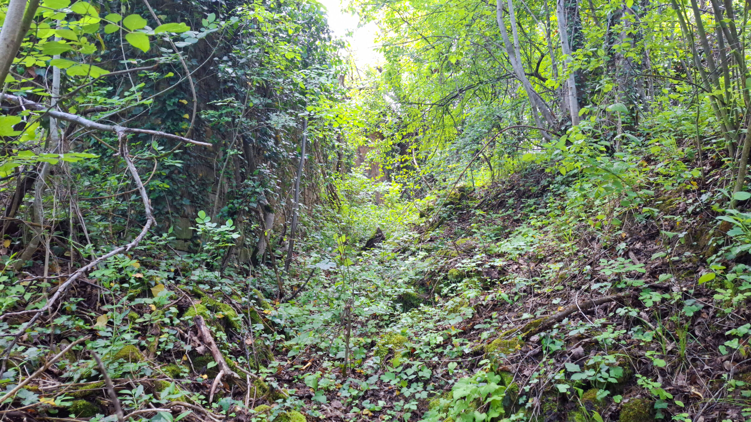 Начало на пътеката от с. Муця към крепост Липово градище Начало на пътеката от с. Муця към крепост Липово градище