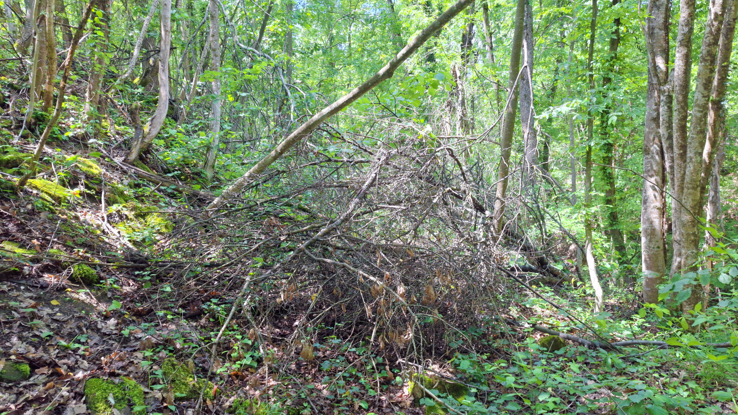 Препятствия по пътя от Муця към крепост Липово градище