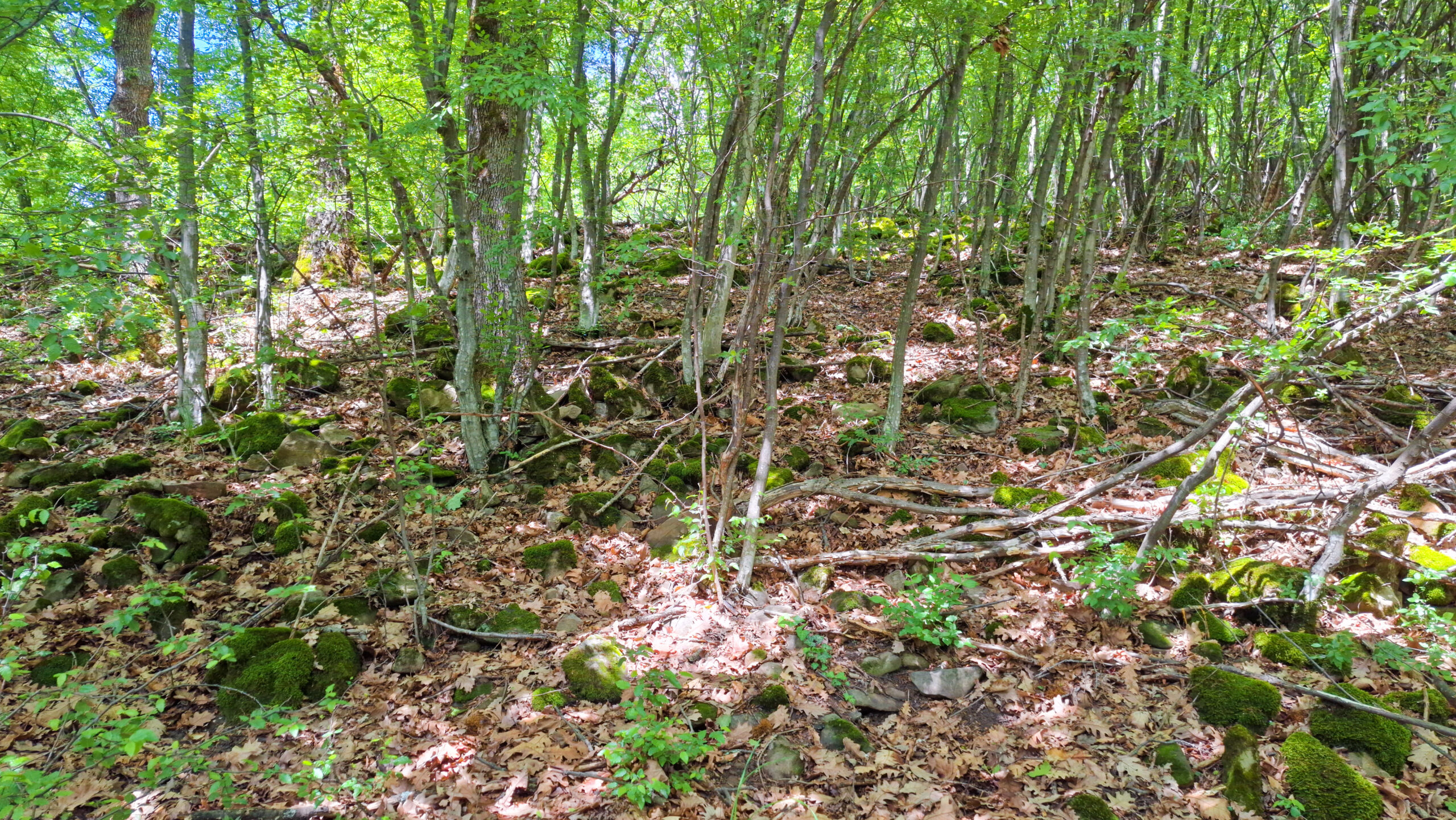 Руините на крепост Липово градище