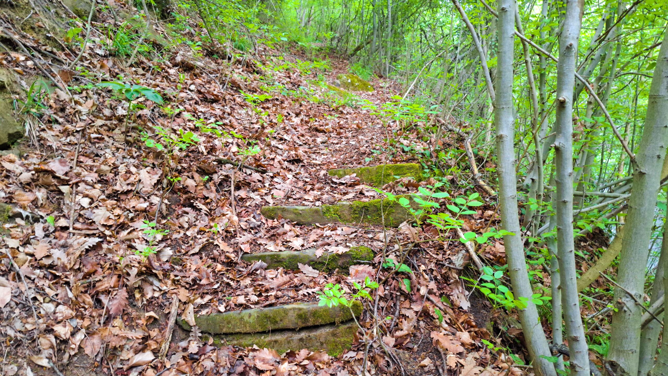 Стари стълби над мостчето, водещи към Къртипъня