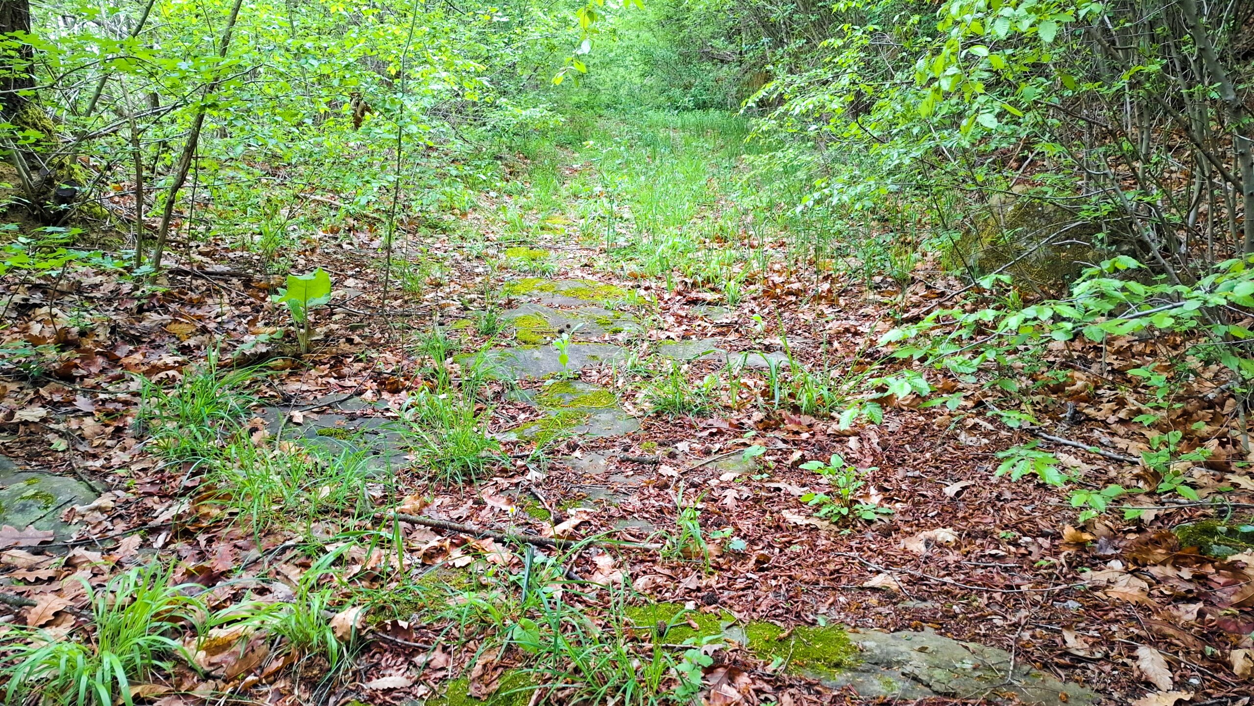 Калдъръма, водещ към Къртипъня