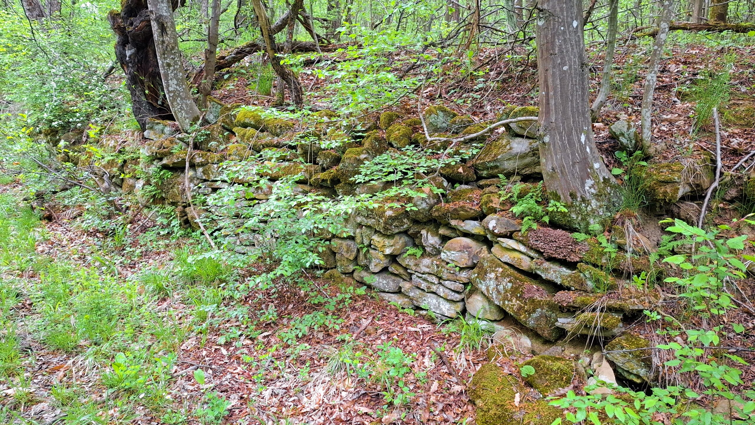 Зидове покрай някогашния калдъръм, водещ към Къртипъня