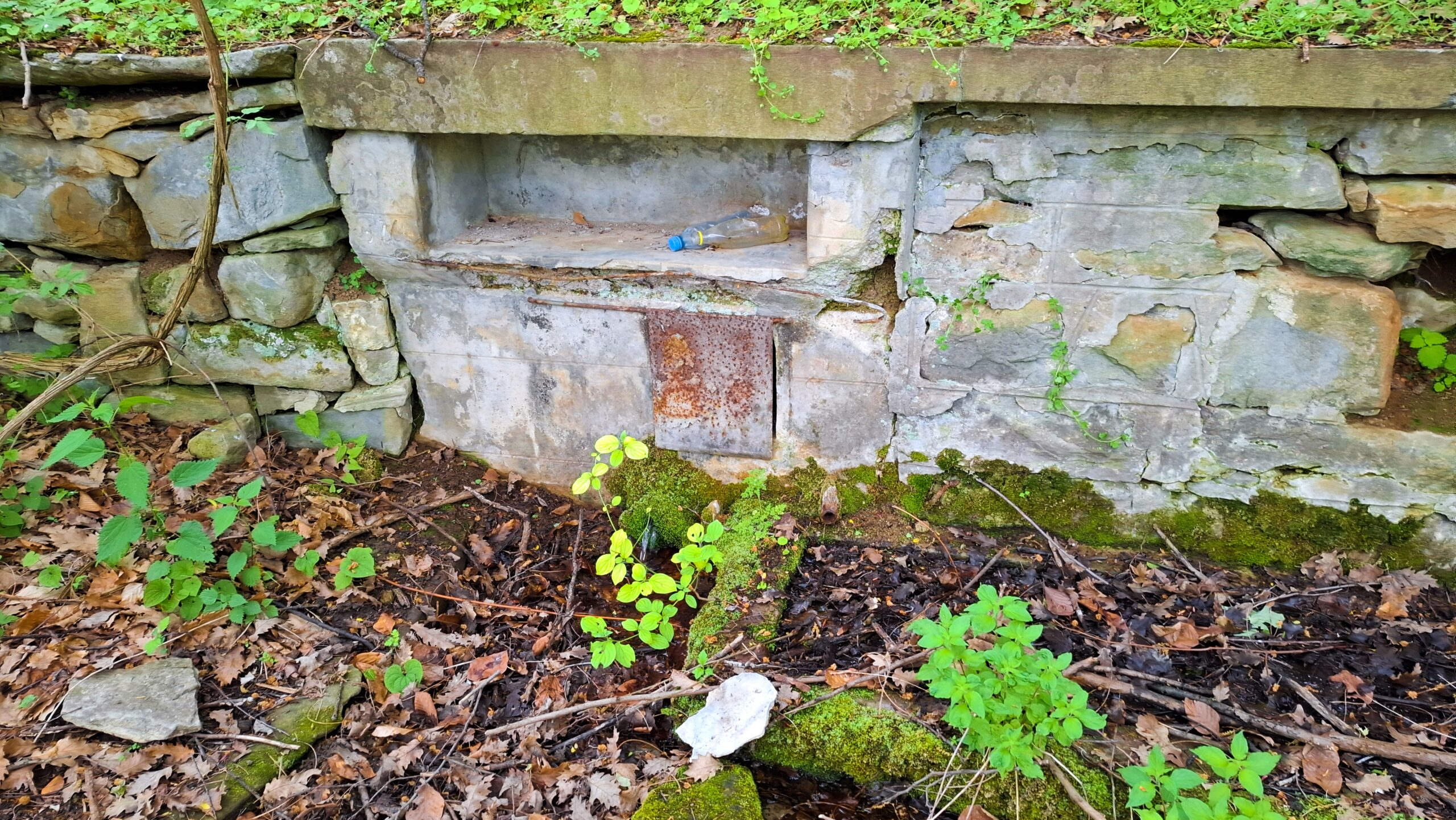 Фасадата на чешмокладенеца над южните гробища в Къртипъня