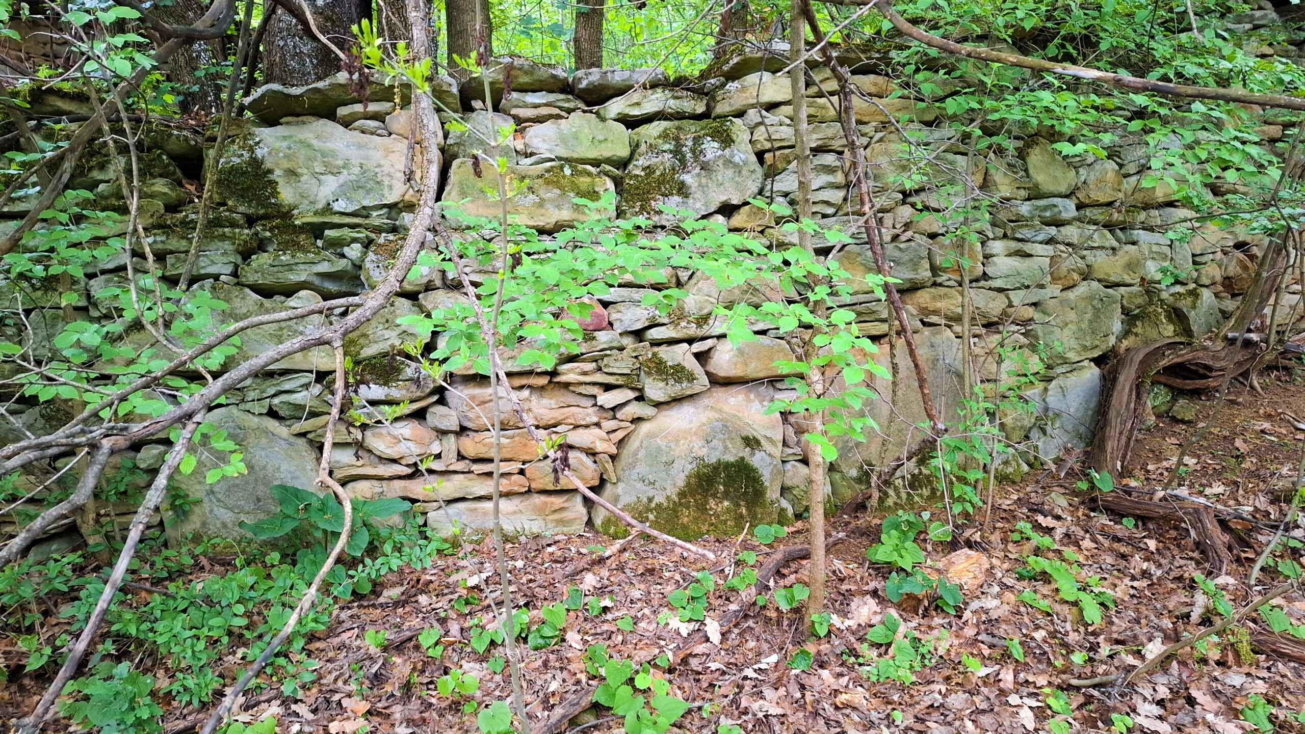 Дувар в Къртипъня