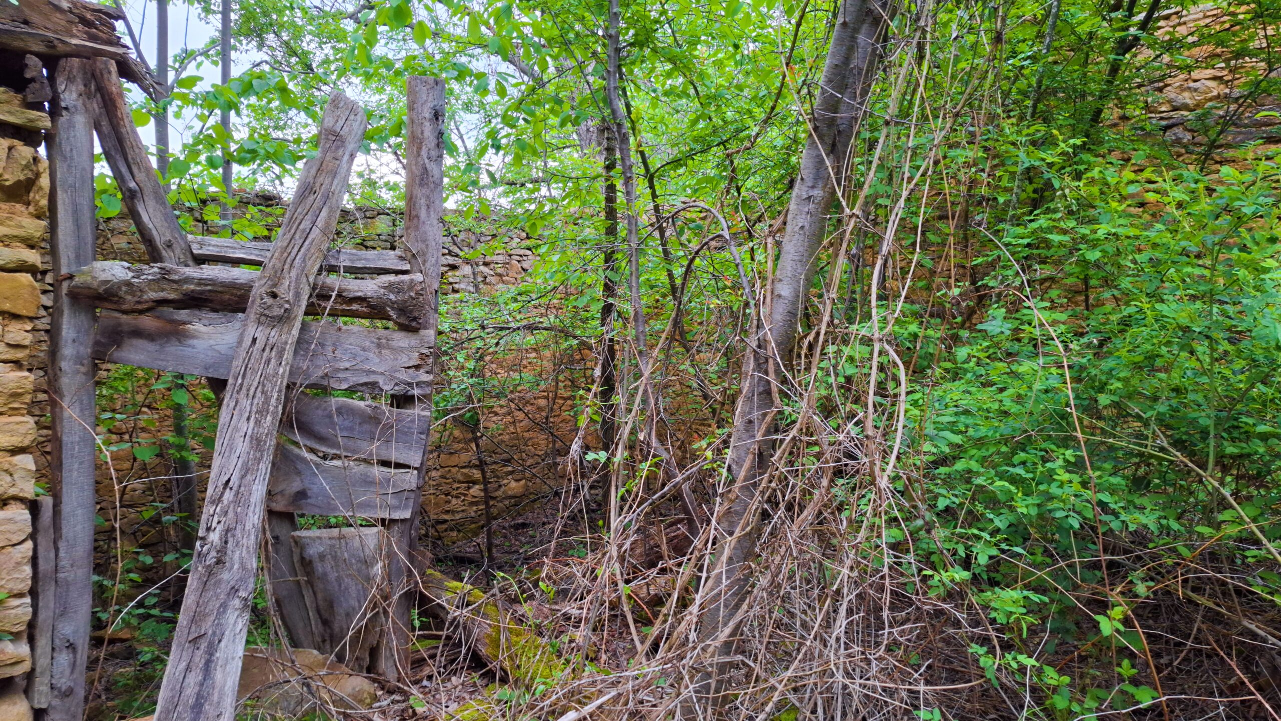 Руини на сграда, Къртипъня
