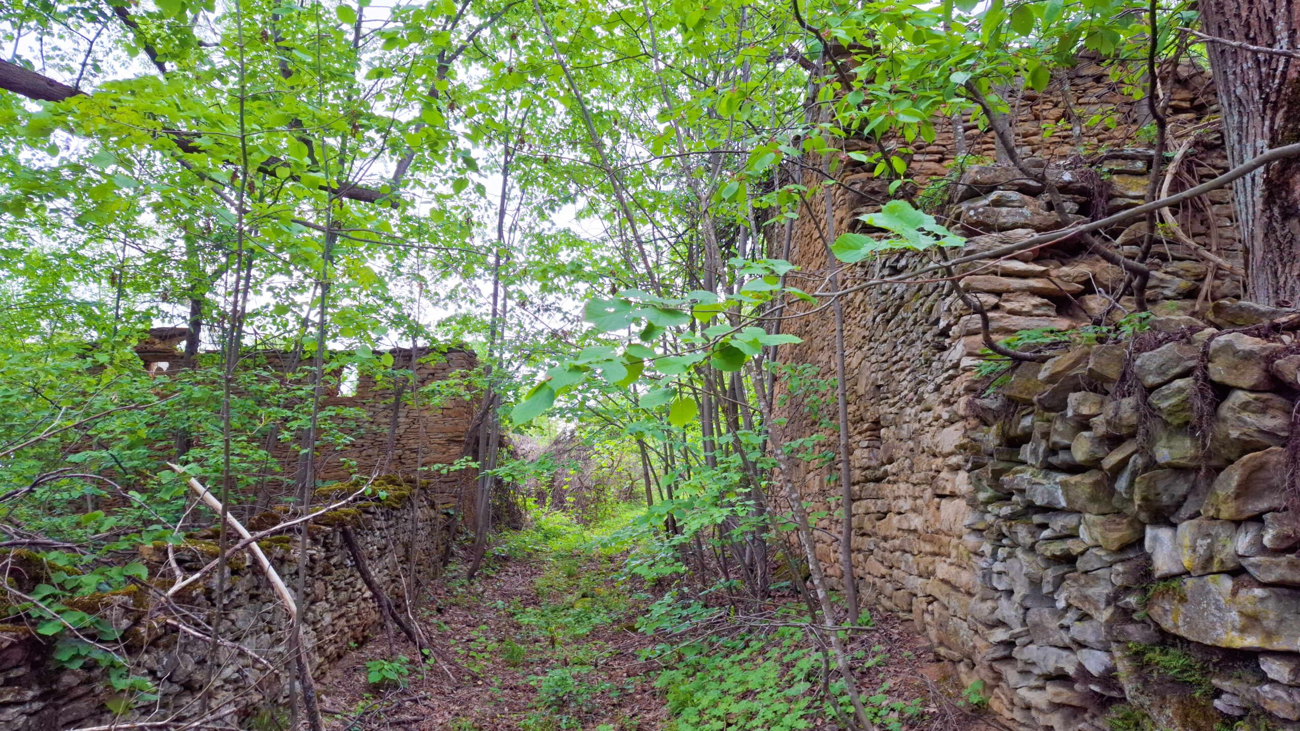 Улица в Къртипъня