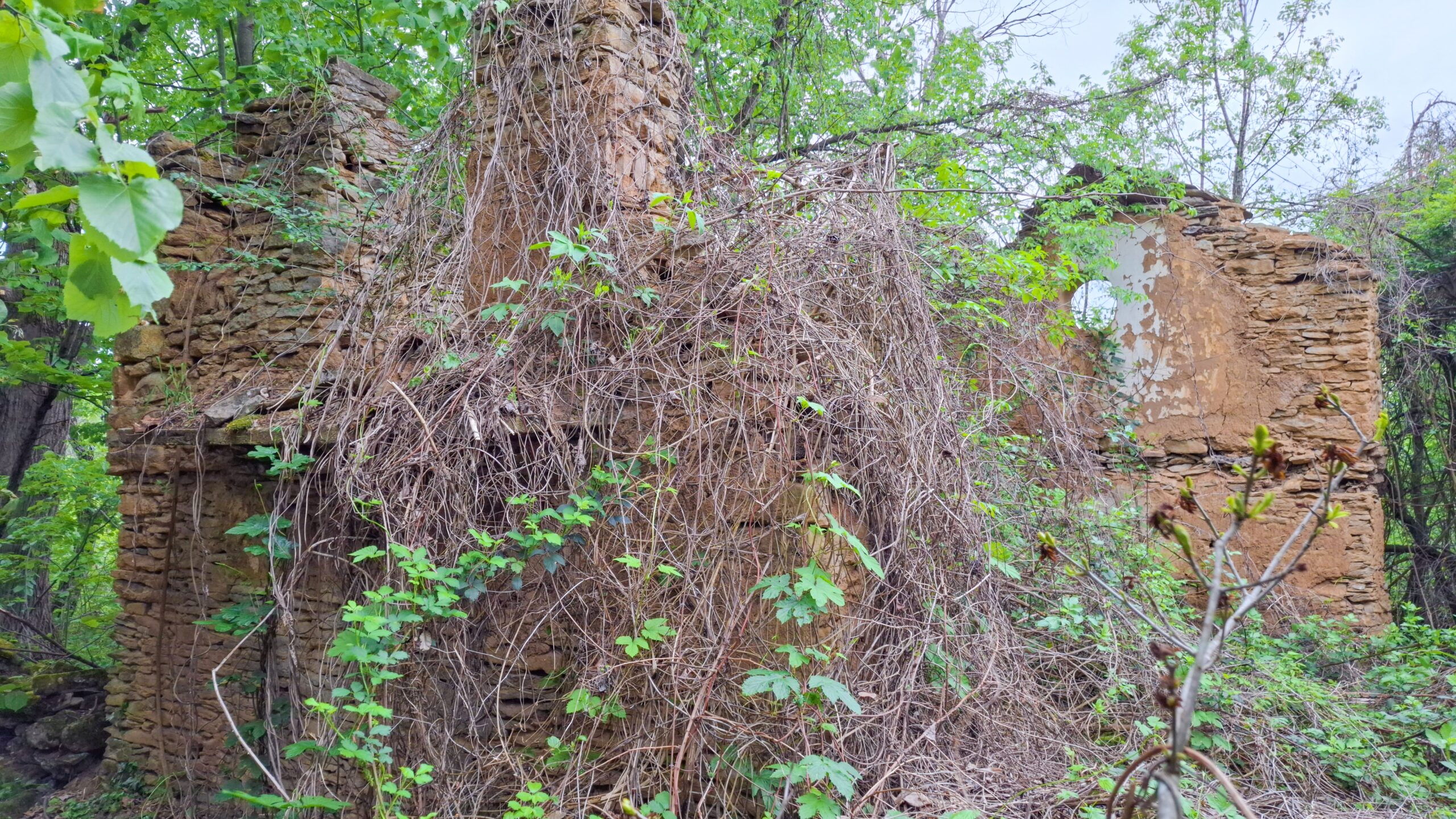 Руини на къща в Къртипъня