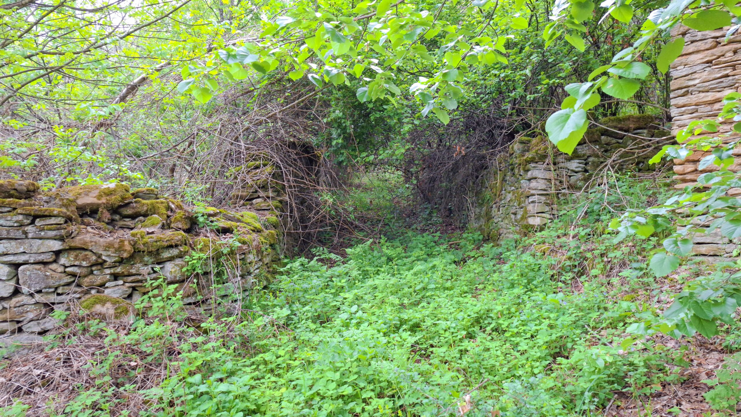 Улица в Къртипъня