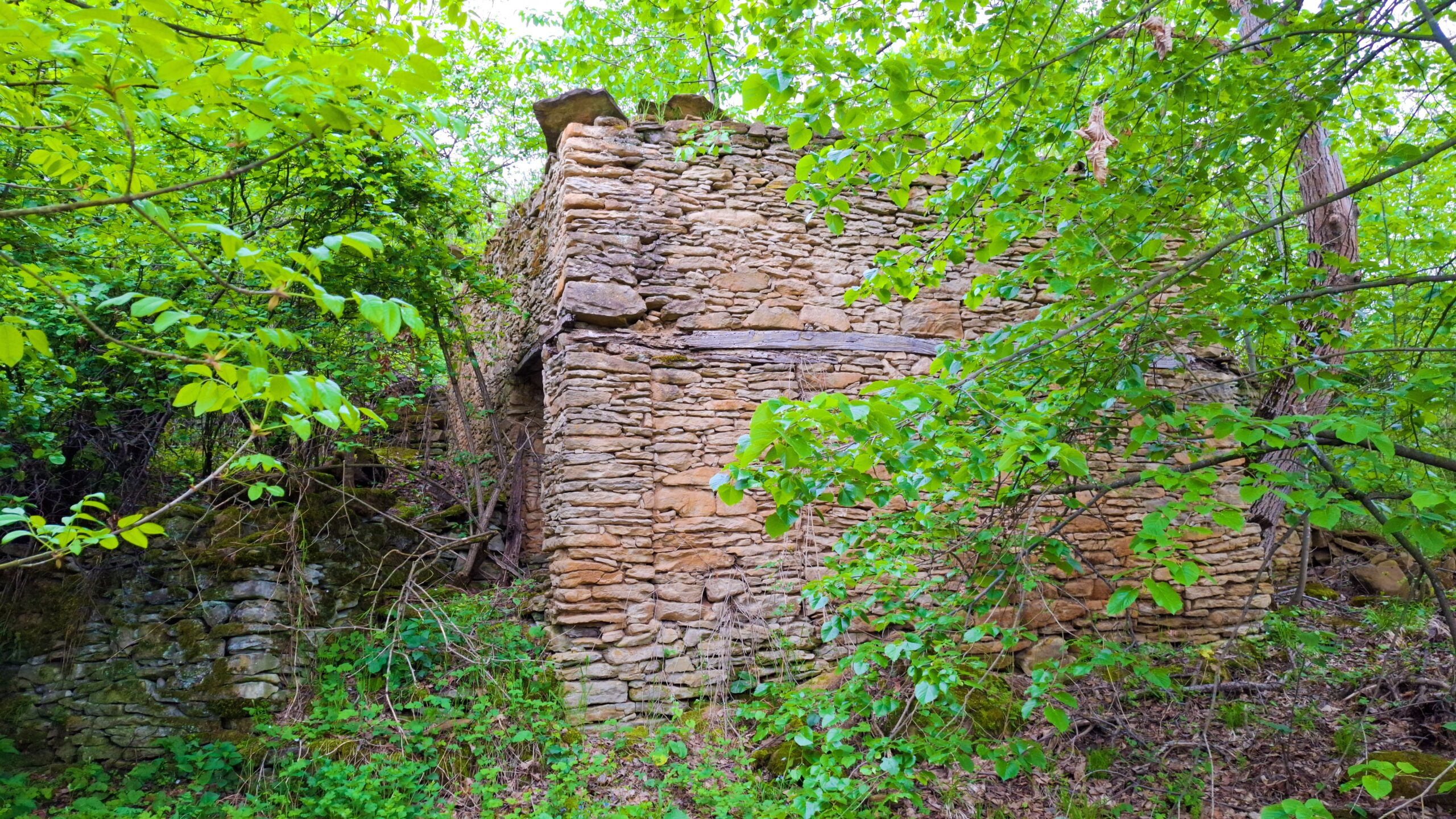 Руини на къща в Къртипъня