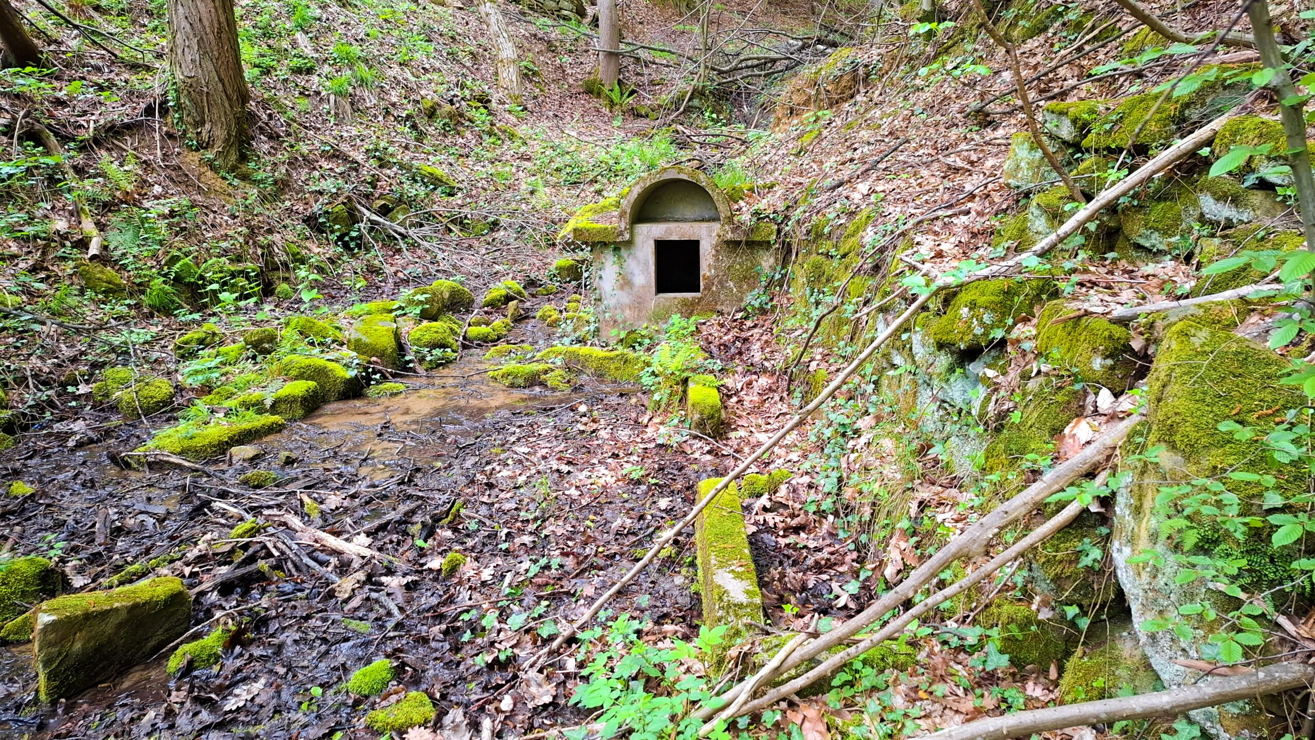 Чешмокладенецът от 1941 г. в Къртипъня, строен от Д.И.