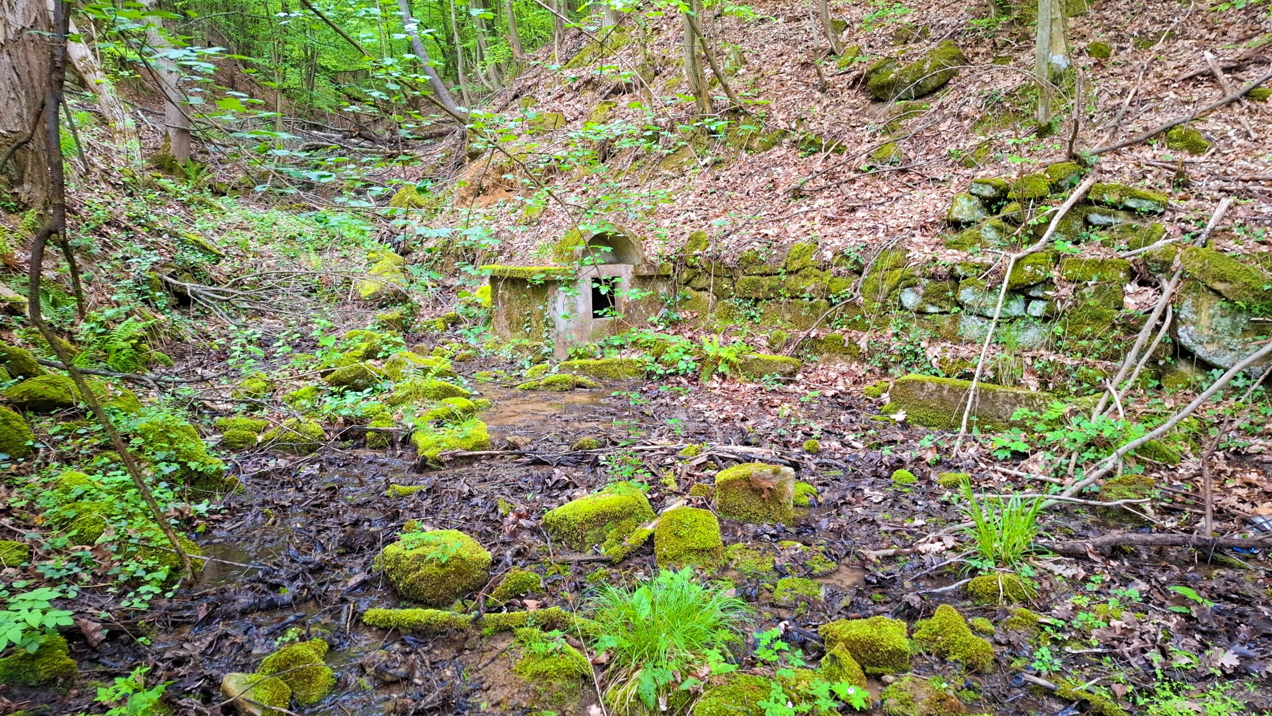 Чешмокладенецът от 1941 г. в Къртипъня