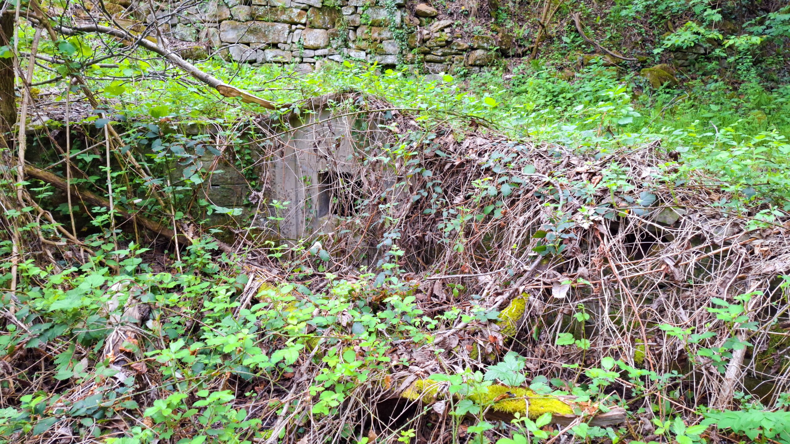 Трудовашкият чешмокладенец от 1939 г. в Къртипъня в началото на почистването