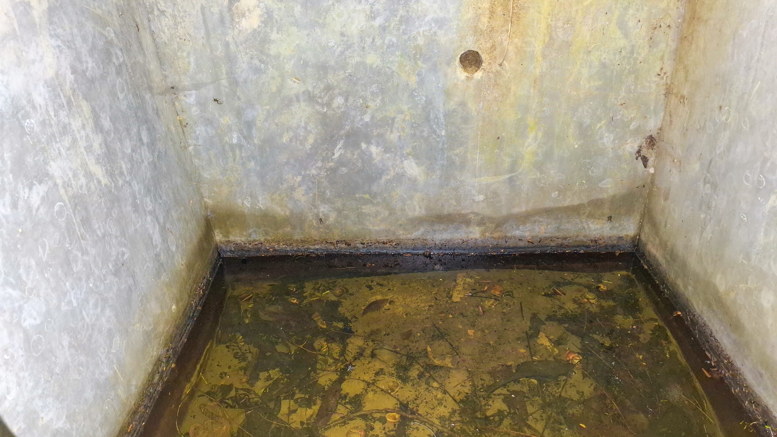 Резервоарът на трудовашкия чешмокладенец от 1939 г. в Къртипъня