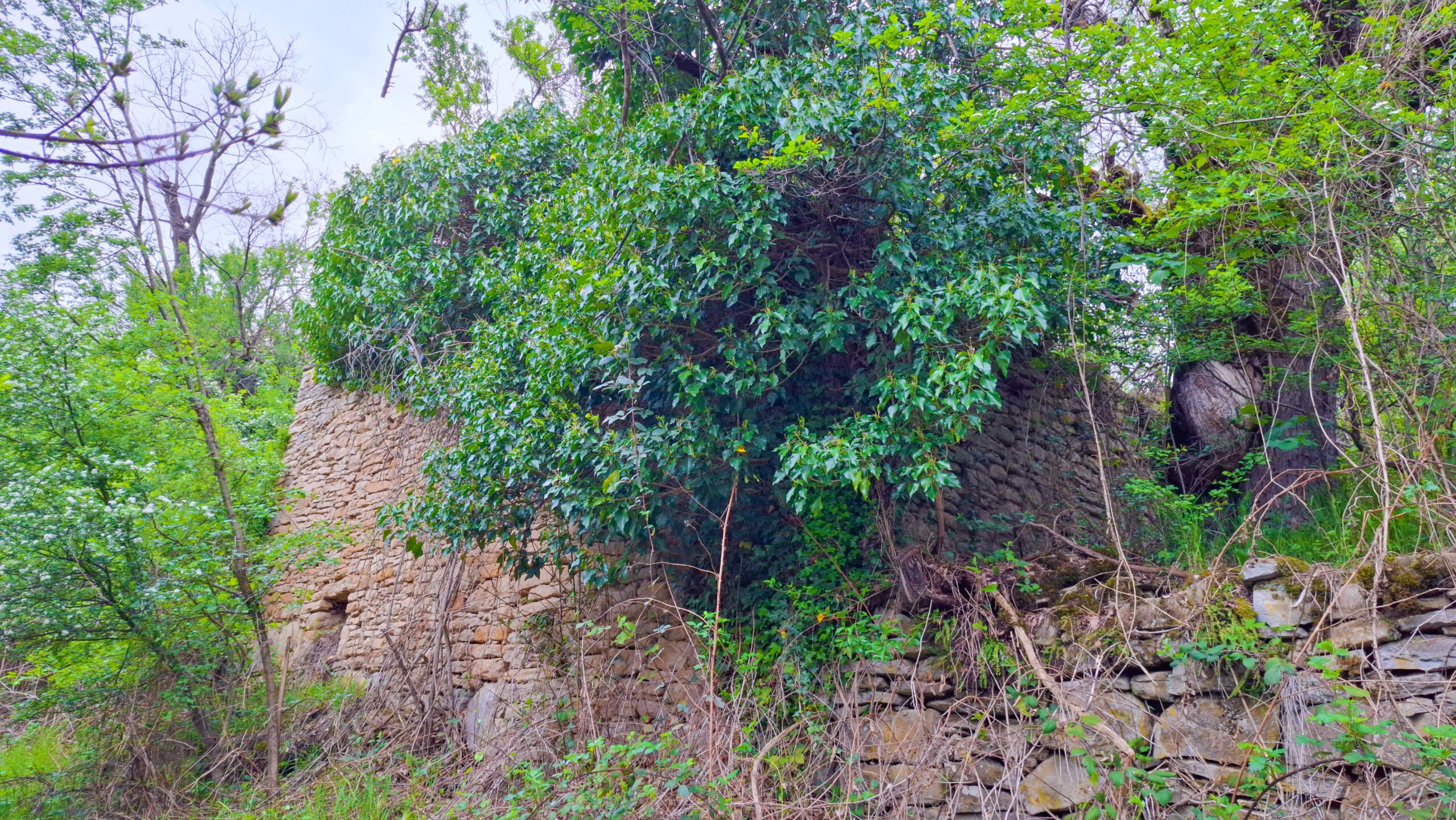 Руини на сграда в Северната махала на Къртипъня