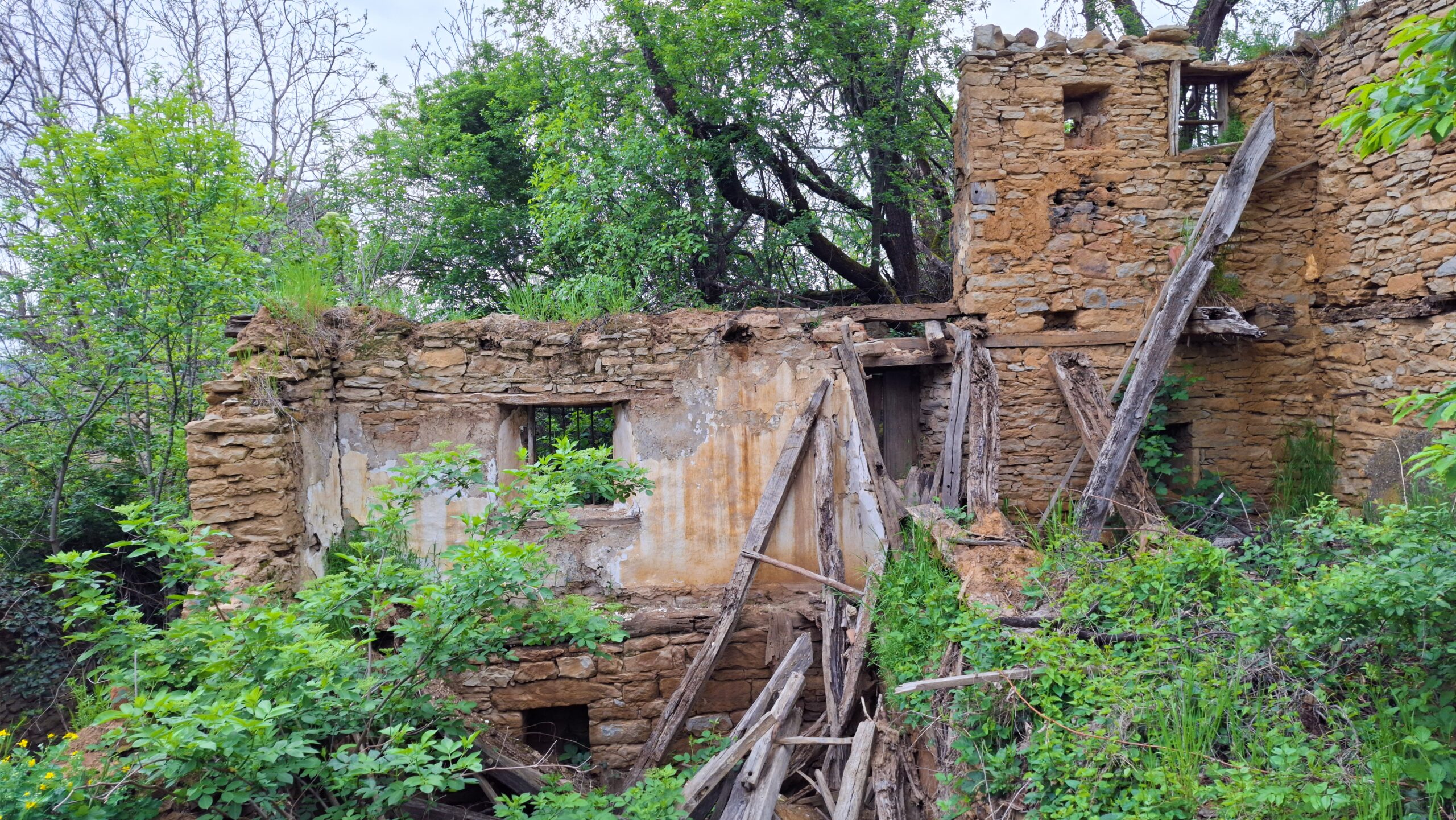 Руини на къща в Северната махала на Къртипъня