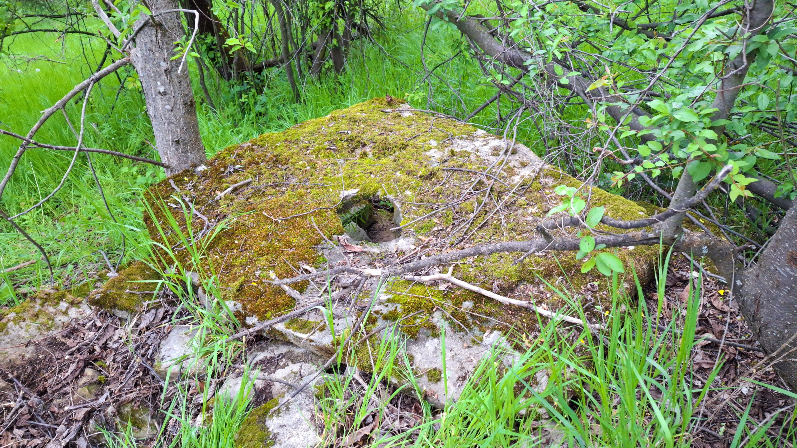 Правоъгълен камък с дупка с неясно предназначение, Къртипъня